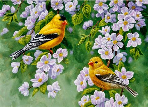 Imagen relacionada | Pintura de pajaros, Arte de aves, Cuadros pintados