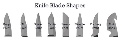 Knife Blade Types Guide - Best Knives Reviews