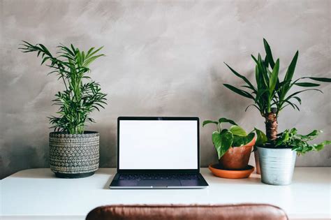 7 Awesome Good Luck Feng Shui Plants For The Office Desk