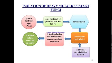 BIOLEACHING PROCESS - YouTube