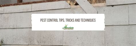 Pest Control Tips, Tricks And Techniques That Work