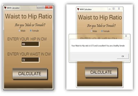 Waist to Hip Ratio Calculator | SourceCodester