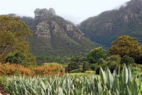 Kirstenbosch National Botanical Garden - Kids | Britannica Kids ...