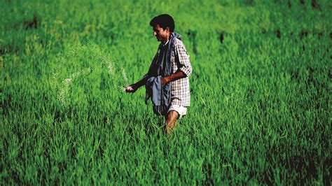 Nano-DAP for farmers by 2023 kharif season, announces Mandaviya