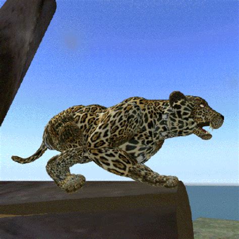 Jaguar GIF - Find & Share on GIPHY