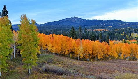 Best Fall Scenic Drives in Steamboat Springs