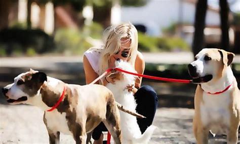 The story of Kaley Cuoco, their adorable pets | IWMBuzz