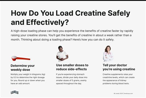 Creatine Loading: How To Do It and Is It Necessary? – Levels