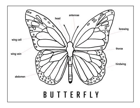 8 best images of handprint butterfly template printable construction ...