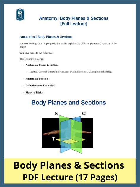 Anatomical Body Planes and Sections PDF: Definitions, Diagrams, Examples — EZmed