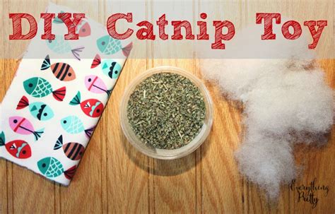 Easy DIY Catnip Toy - Everything Pretty