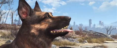 Fallout 4: All Companions, Locations, and Quests | Shacknews