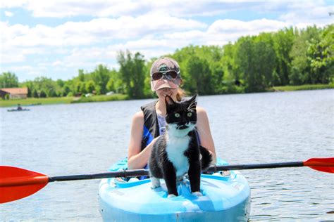 Noodle The Hiking Cat | Adventure cat, Kayaking, Cats