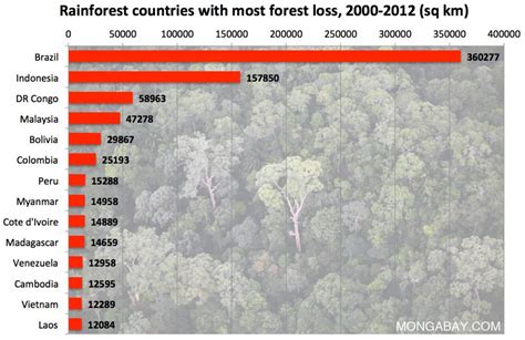 rainforest-countries-with-most-deforestation - Industry Tap