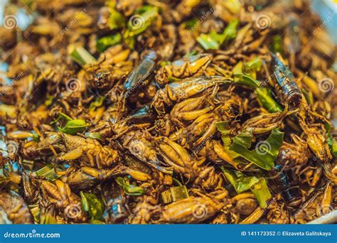 Fried Insects, Bugs Fried on Street Food in Thailand Stock Photo ...