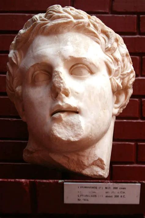 How Did Lysimachus Impact the Hellenistic World - DailyHistory.org