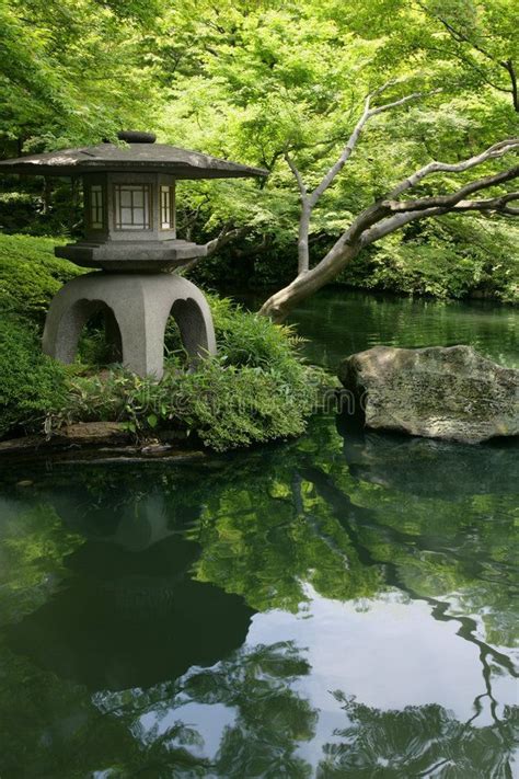 Japanese garden and pond. A Japanese Garden and pond in Tokyo Japan ...