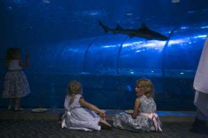 Oregon Coast Aquarium - Oregon Coast Weddings