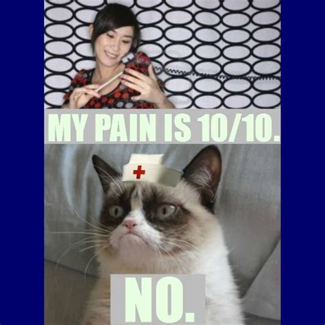 Nursing Humor | Grumpy cat, Nursing memes, Medical humor