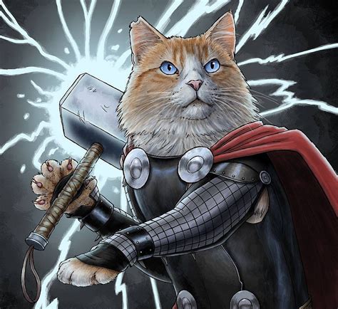 Cats Dressed as Superheroes | POPSUGAR Tech