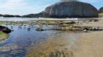 Oregon Coast Adventures: Waldport and Seal Rock