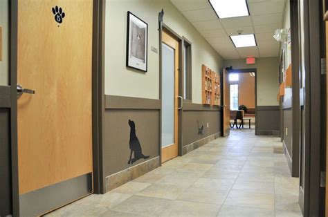 Concerning veterinary hospital interior designHospital Interior Design Ideas | Veterinary ...