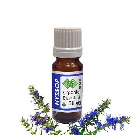 Hyssop Essential Oil Organic - SMSOrganics, Pure Essential Oils, Carrier Oils, Attar, Flower Waters