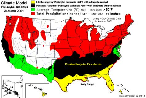 North Carolina Psilocybe cubensis found - Mushroom Hunting and ...