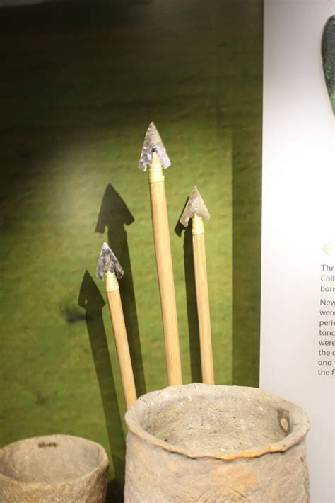 Barbed and tanged arrowheads - Wiltshire Museum