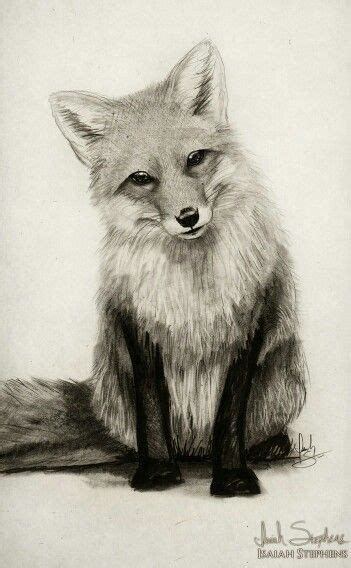 Pin by Caroline Lima on Fox | Pencil drawings of animals, Art prints, Realistic drawings