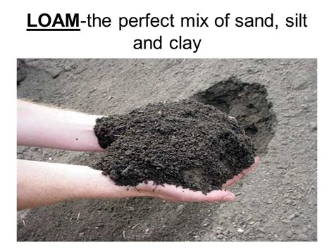 Types Of Soil Sand, Silt, Clay Properties Of Soil Types Of, 53% OFF