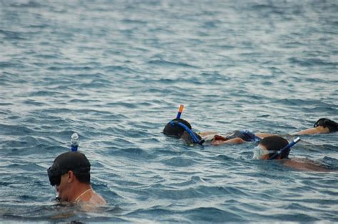 Bimini Snorkeling | Flickr - Photo Sharing!