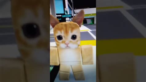 Ela gato dancing in roblox 😔👌 - YouTube