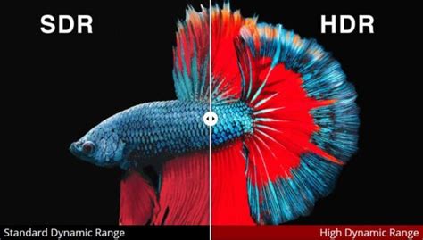 What Is HDR? HDR VS SDR Comparison – Medium Hunter