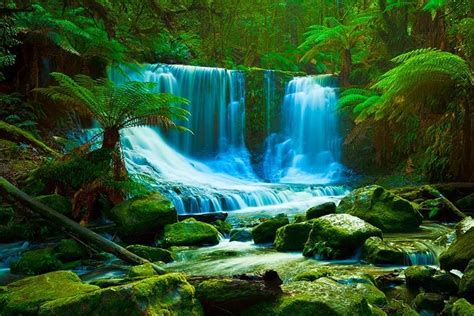 Enchanted waterfalls | Rainforest pictures, Waterfall wallpaper, Waterfall scenery