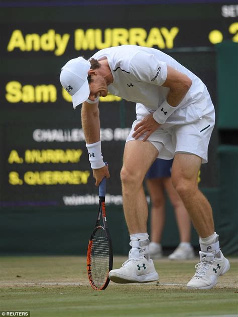 Andy Murray recovers from hip injury to face Federer | Daily Mail Online