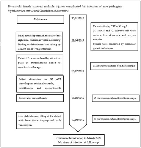 Antibiotics | Free Full-Text | Dual Infection of an Open Fracture Caused by Mycobacterium ...