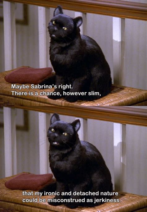 47 Reasons Salem From 'Sabrina The Teenage Witch' Is Your Spirit Animal ...