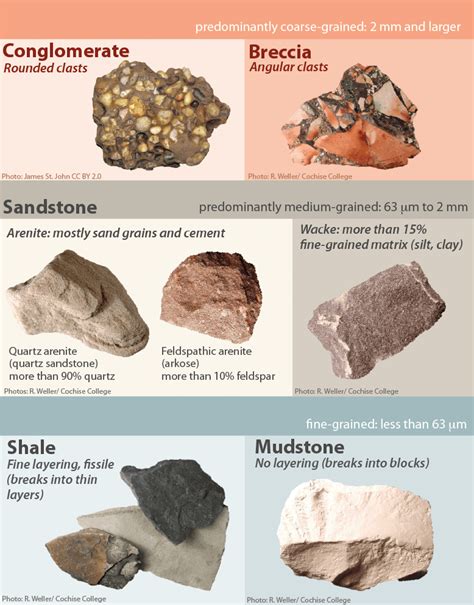 Sedimentary Rocks [Types And How They Are Formed?] ️2024 ️ - Rocks For Kids