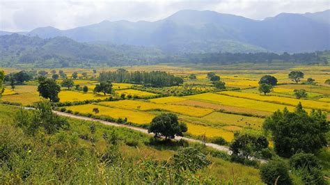 Araku Valley Tourism, Tourist Places in Araku Valley - Adotrip