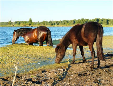 Chelyabinsk Oblast, Russia guide