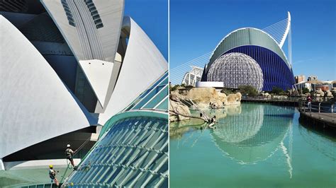 Valencia Aquarium | Spain tourism, Valencia aquarium, Aquarium