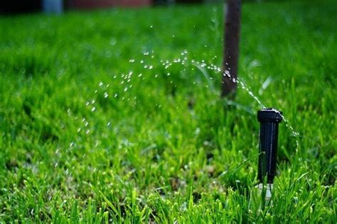 Troubleshooting Sprinkler System: Everything You Need to Know in 2021