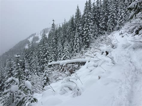 Hiking in snow in Washington State — MyFitnessPal.com