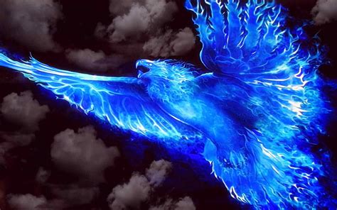 Fire Full Hd Blue Lion Wallpaper - pic-fidgety