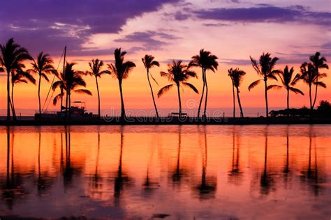 Hawaii Beach Sunset - Tropical Paradise Landscape Stock Photo - Image ...