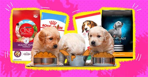 The 6 Best Puppy Foods, According To Veterinarians - DodoWell - The Dodo