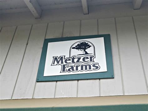 Behind the Scenes with the Ducklings at Metzer Farms - Fresh Eggs Daily® with Lisa Steele