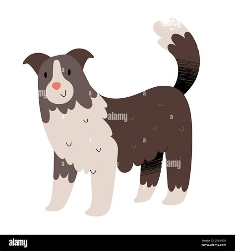 Cartoon border collie sheepdog hi-res stock photography and images - Alamy