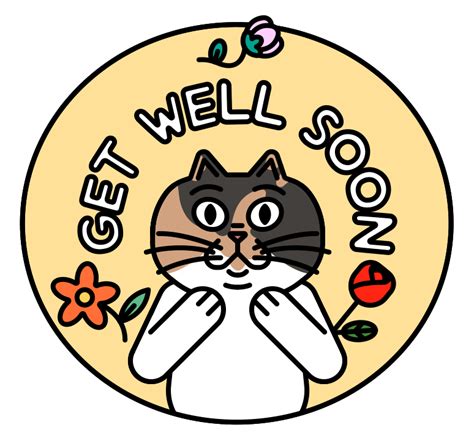 Get Well Soon Cat Sticker for iOS & Android | GIPHY